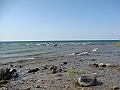 Western Michigan [2010] 841